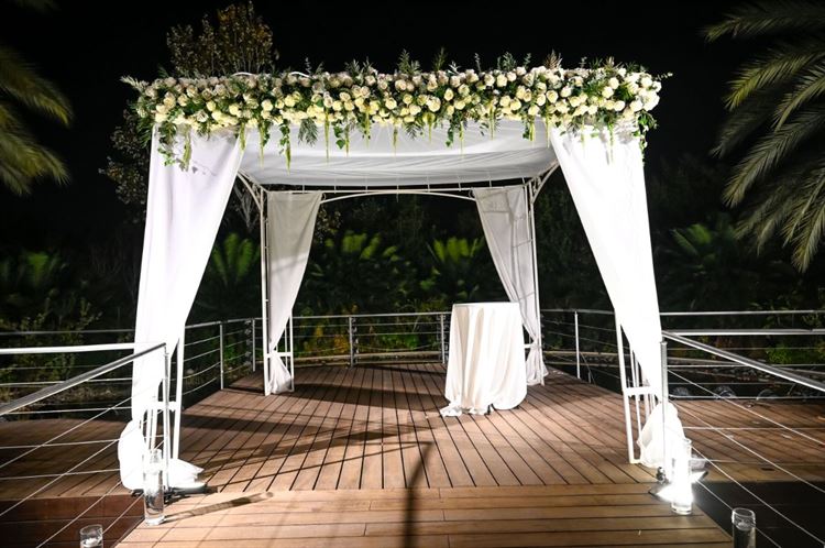 צילום: אלון גרובר