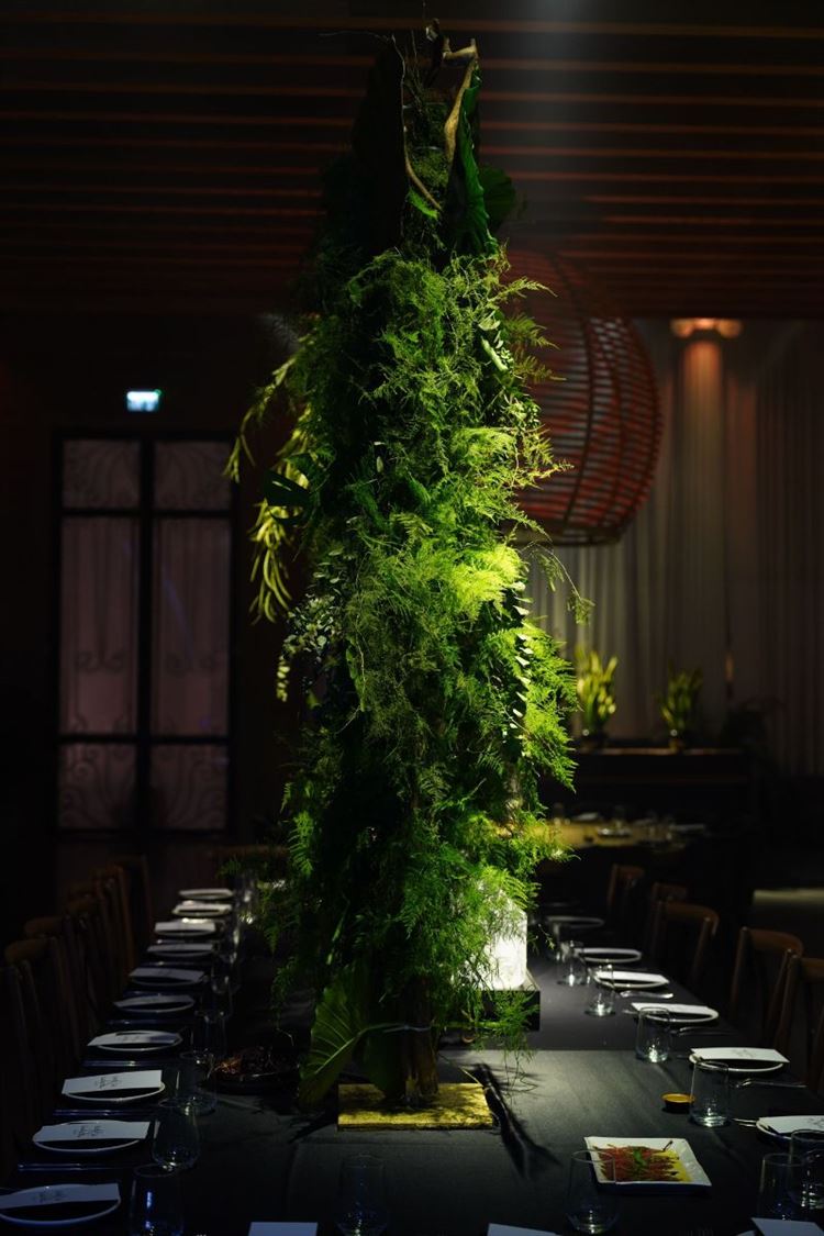 צילום: רון קובי