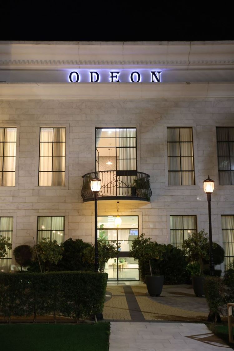 צילום: רון קובי