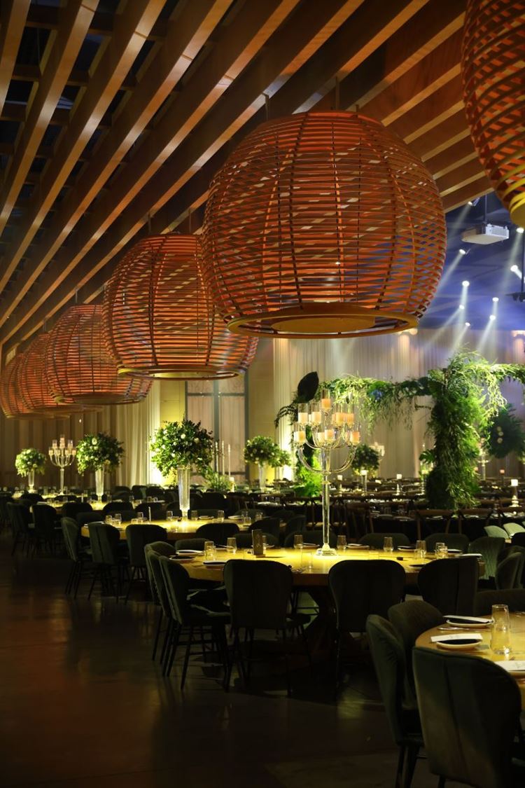 צילום: רון קובי