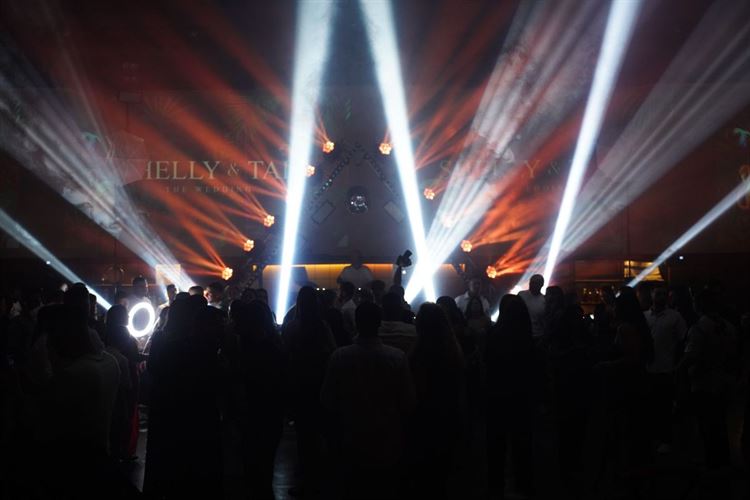 צילום: רון קובי