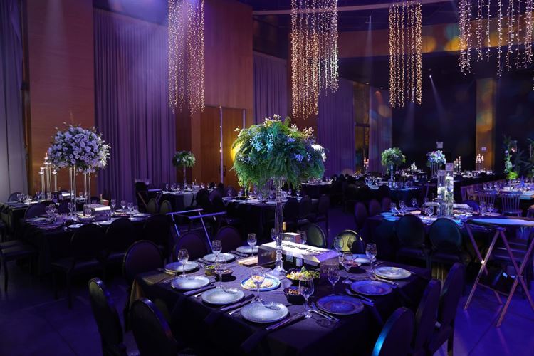 צילום: שי אסייג