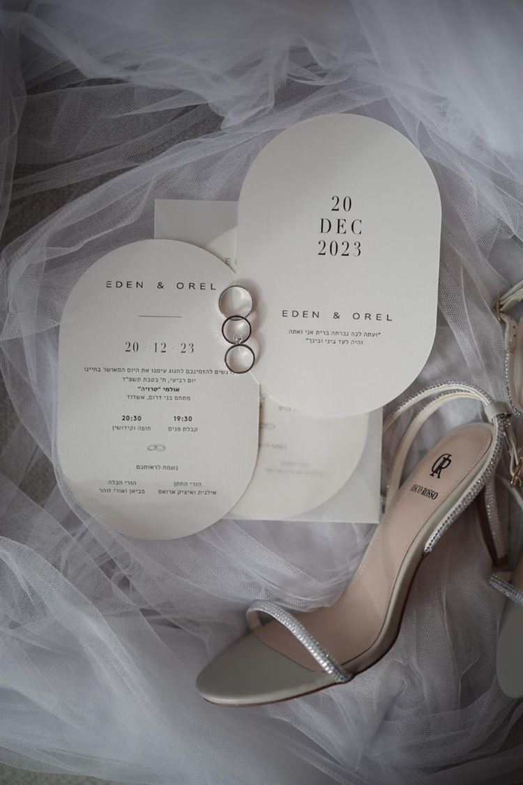 צילום: שלומי זנתי