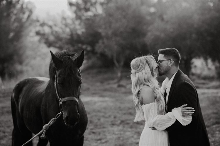 צילום: אלון גרובר