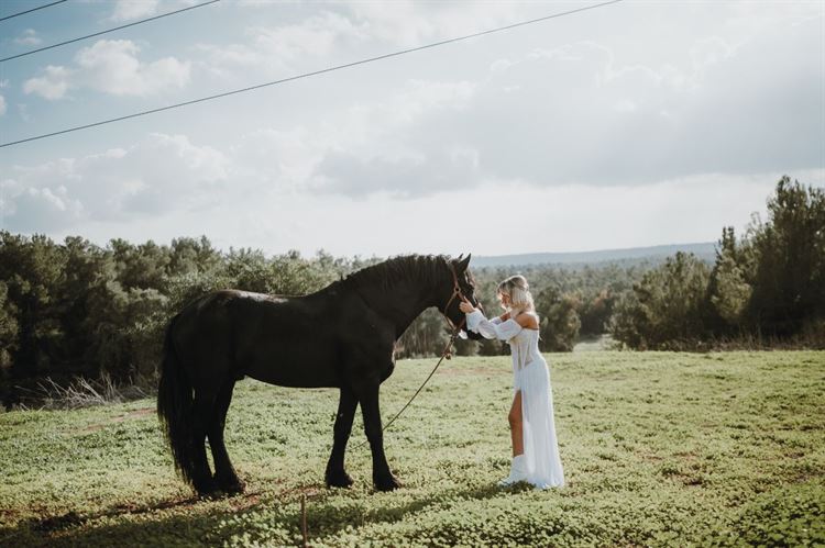 צילום: אלון גרובר