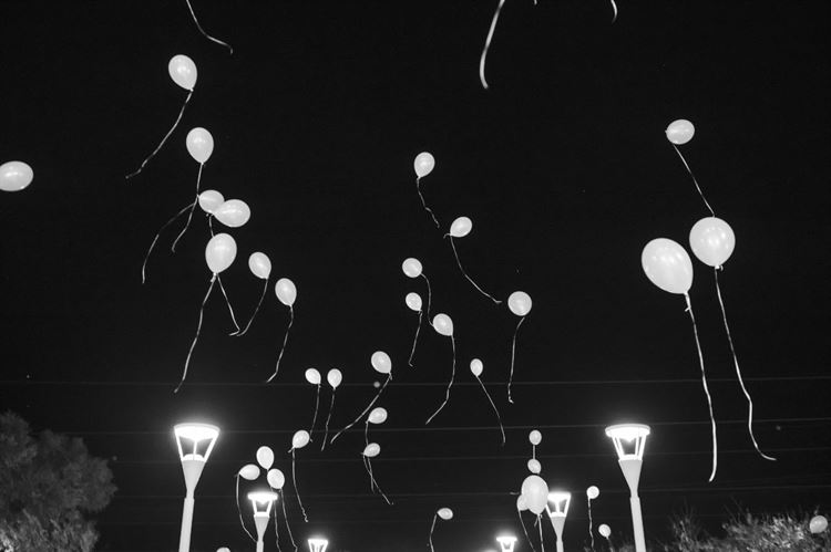 צילום: אלון גרובר