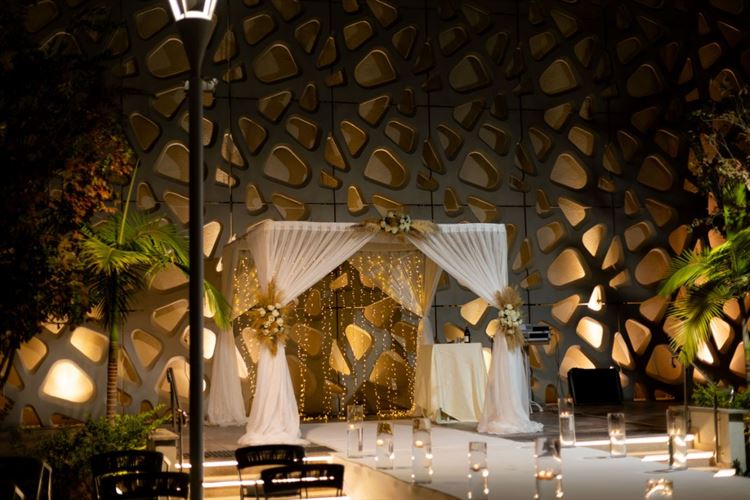 צילום: אלון גרובר