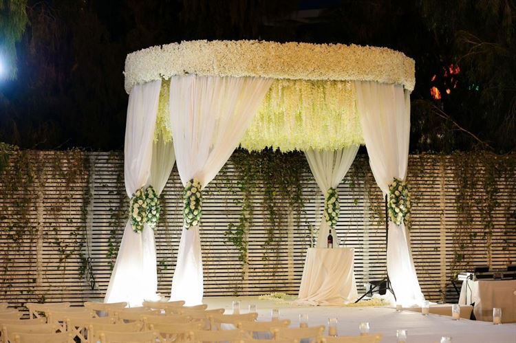 צילום: מיקי סויסה