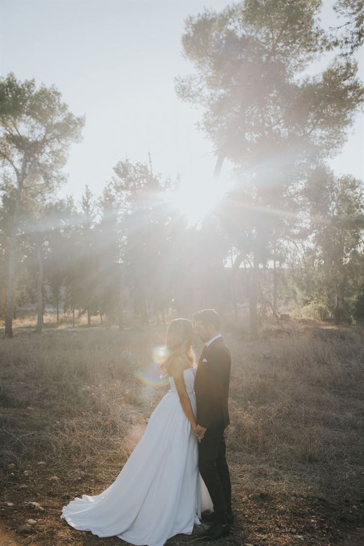 צילום: עידן חסון