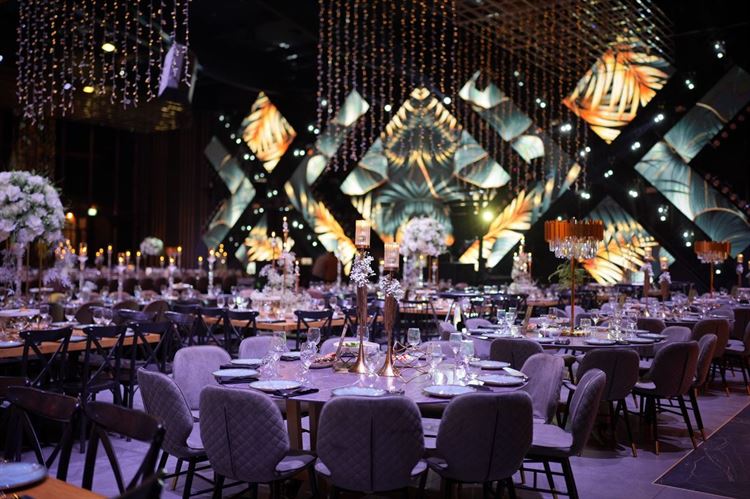 צילום: דוקו צלמים