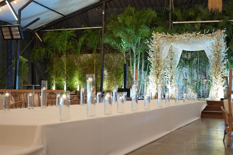 צילום: דוקו צלמים