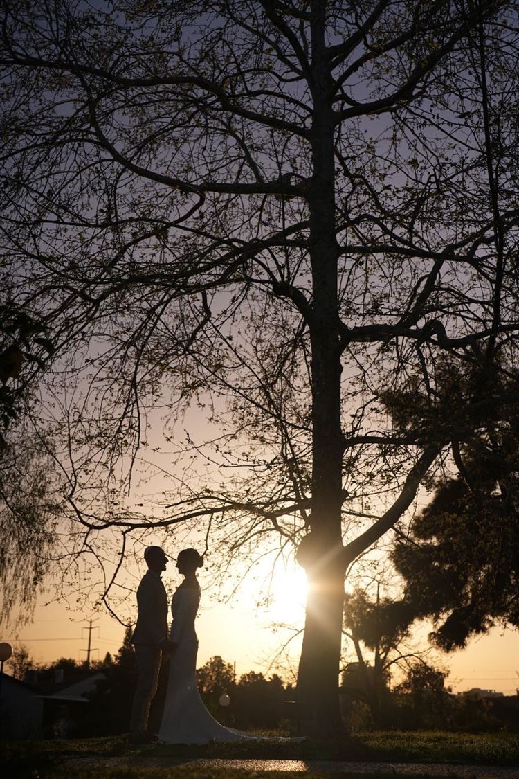 צילום: פלאשבק צלמים- משה אסף