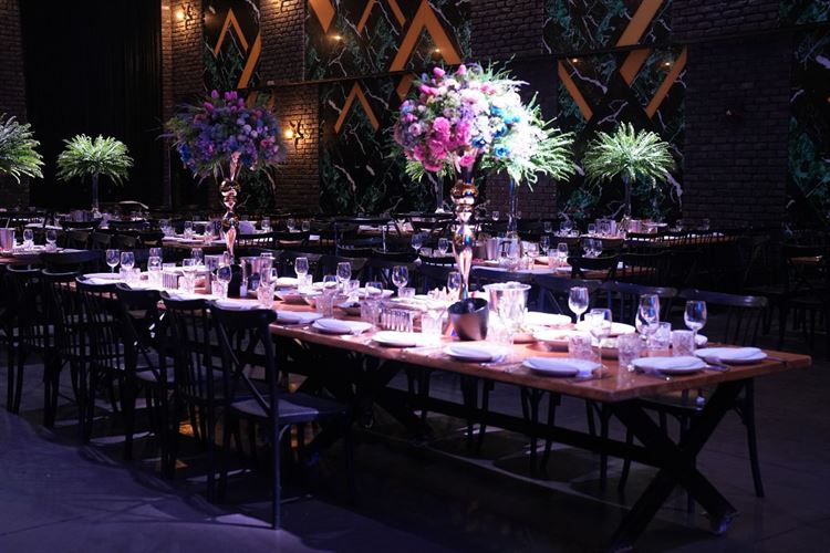 צילום: פלאשבק צלמים- משה אסף