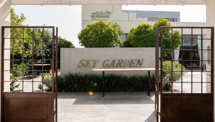 חתונה חלומית בסקיי גארדן: עולם שלם של אפשרויות 21