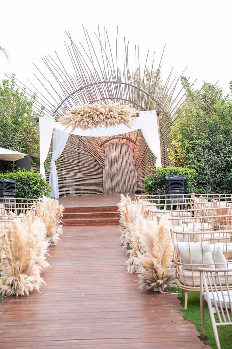 צילום: אלון גרובר