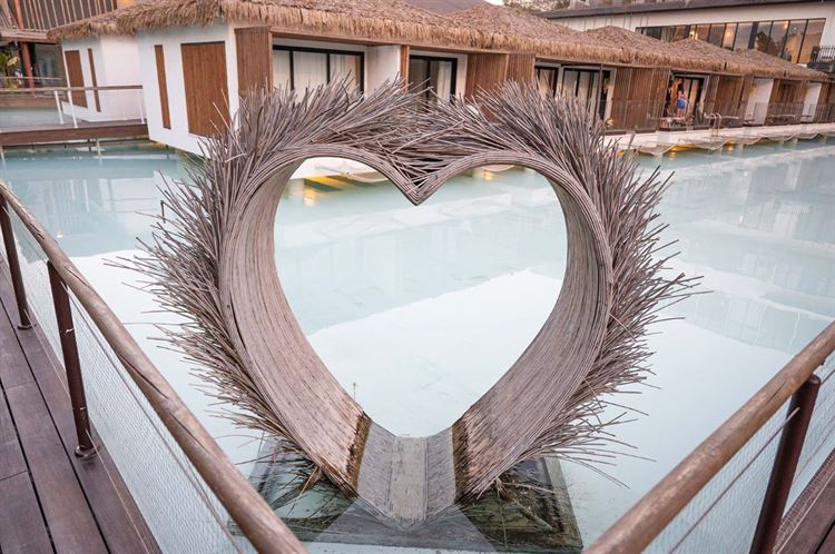 צילום: אלון גרובר