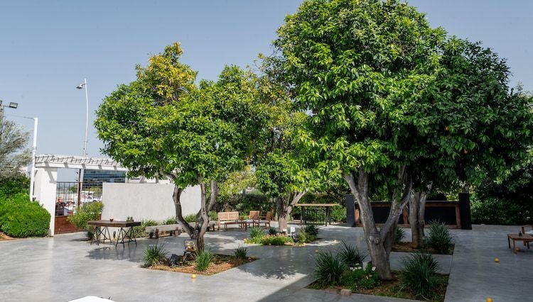 חתונה חלומית בסקיי גארדן: עולם שלם של אפשרויות 3