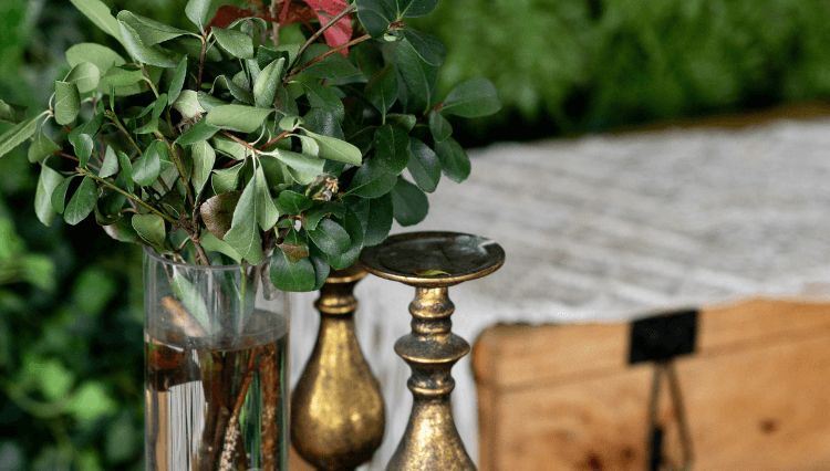 חתונה חלומית בסקיי גארדן: עולם שלם של אפשרויות 5