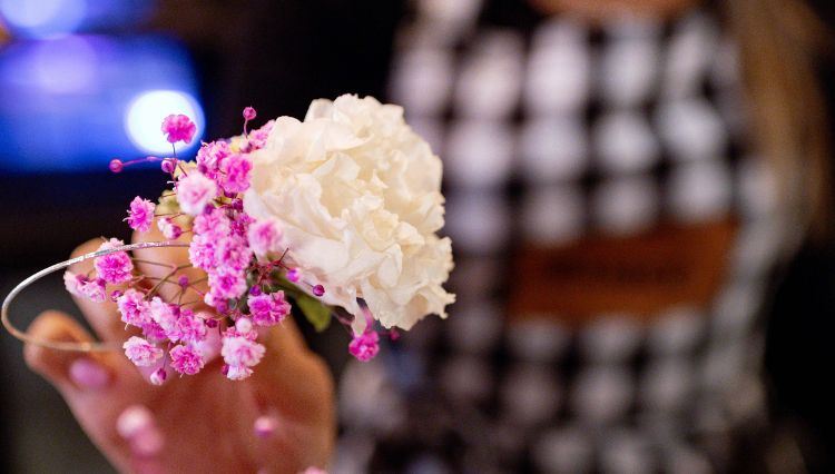 באסיקו: חוויה אירופאית בלב מרכז הארץ 19