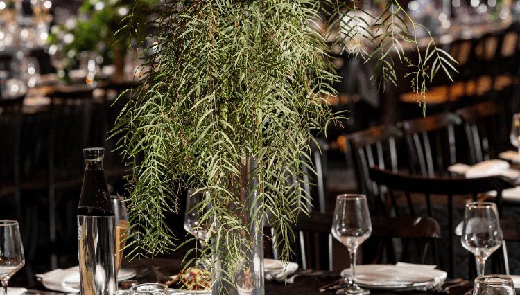 חתונה חלומית בלב השרון: גן האירועים WIN 27