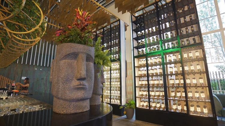 צילום: רוסלן שיין