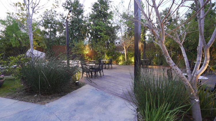 צילום: רוסלן שיין