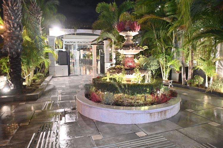 צילום:ערן חן