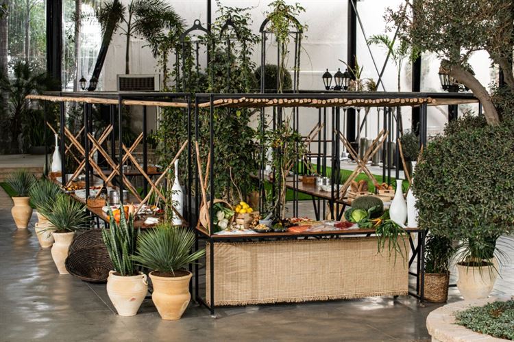 צילום: חיים אפריאט