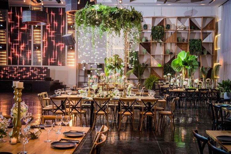 צילום: חיים אפריאט