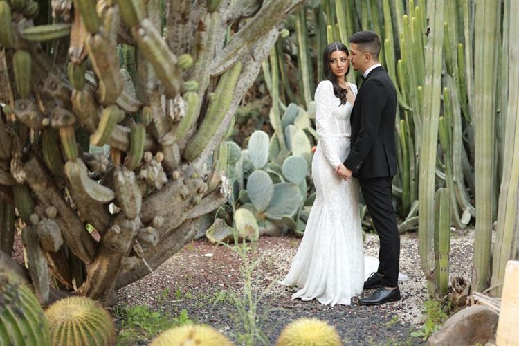 צילום: Red Camera