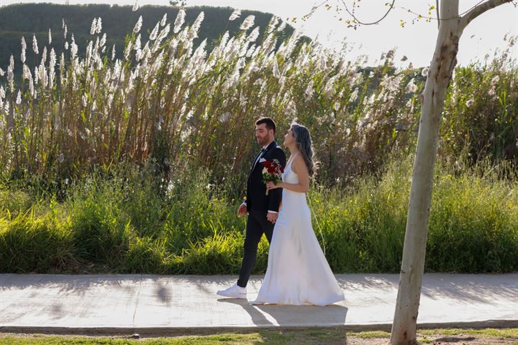 SET - שלומי אלפסי