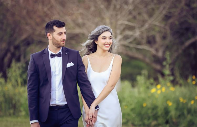 SET - שלומי אלפסי