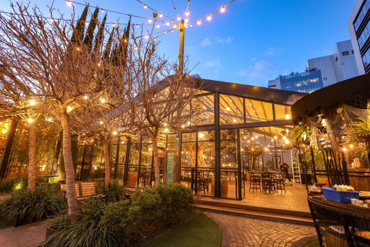 SET - שלומי אלפסי