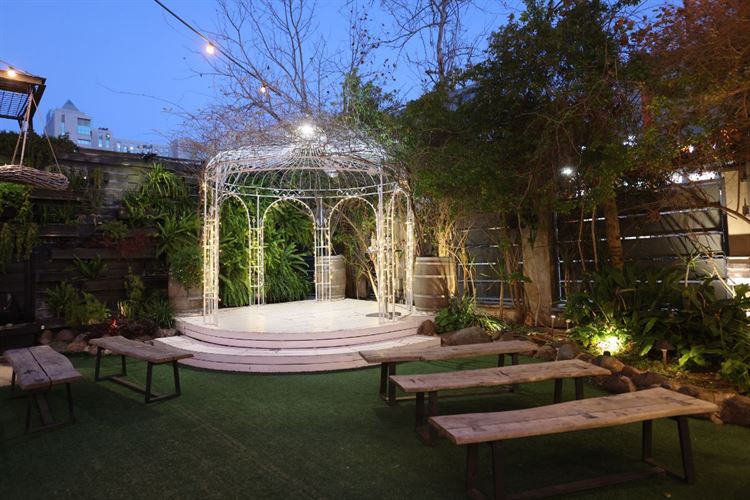 SET - שלומי אלפסי