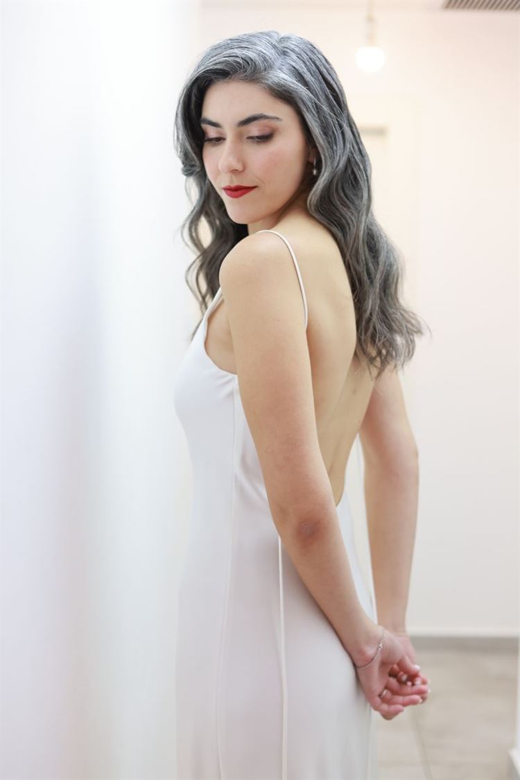 SET - שלומי אלפסי