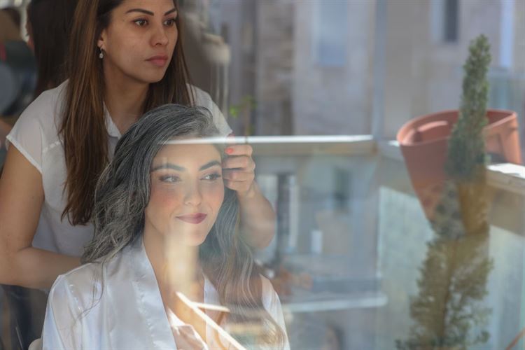 SET - שלומי אלפסי