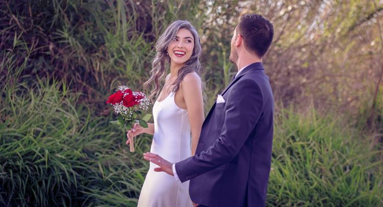 SET - שלומי אלפסי