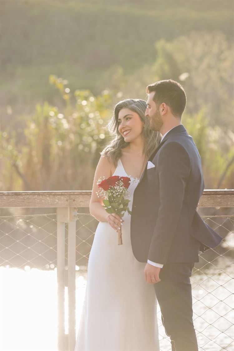 SET - שלומי אלפסי