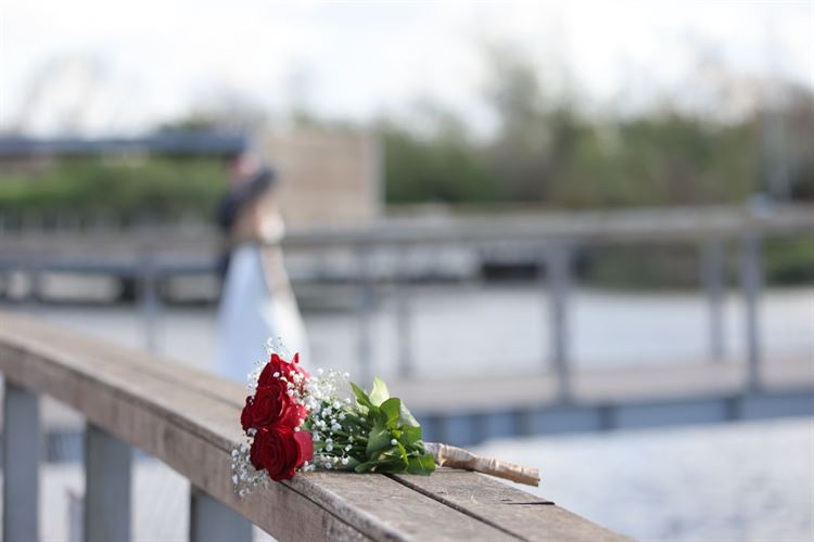 SET - שלומי אלפסי