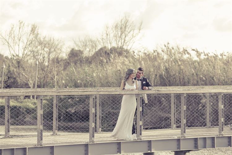 SET - שלומי אלפסי