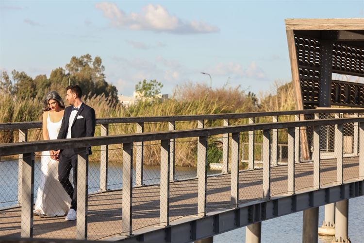 SET - שלומי אלפסי