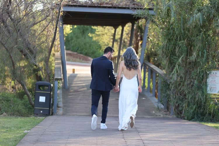 SET - שלומי אלפסי