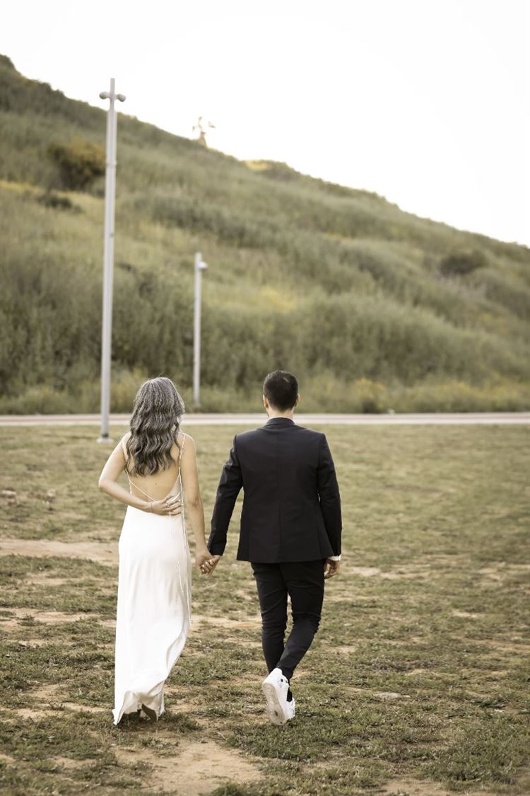 SET - שלומי אלפסי