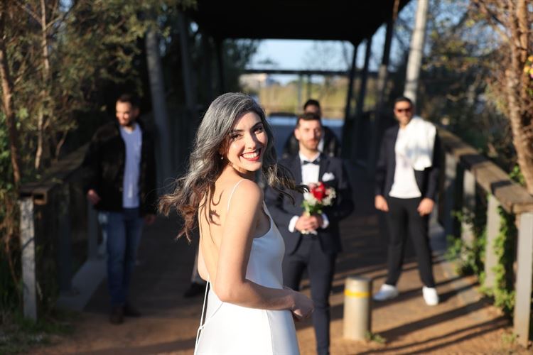 SET - שלומי אלפסי