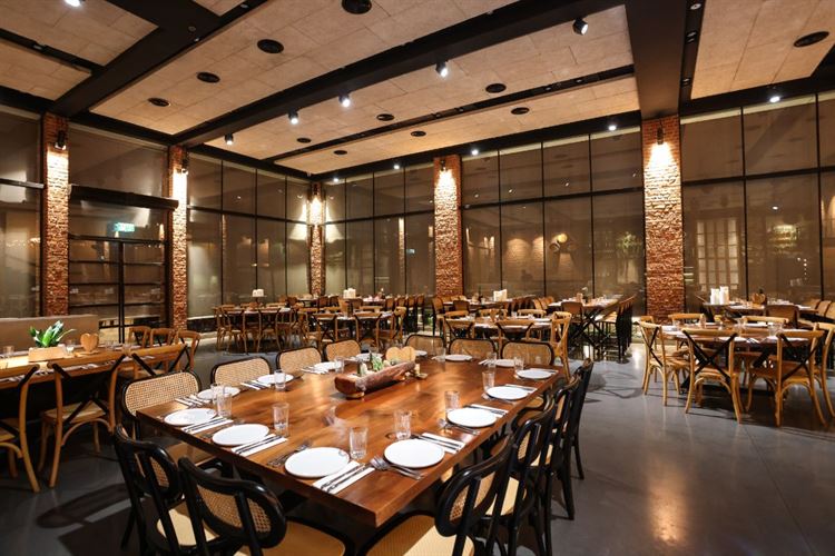 SET - שלומי אלפסי