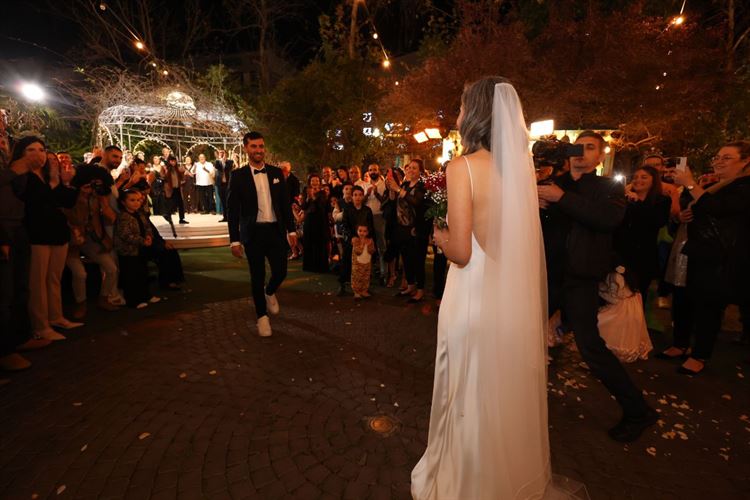 SET - שלומי אלפסי