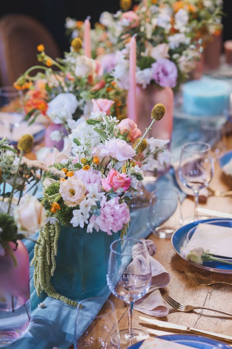 צילום: עידן כנפי