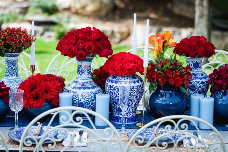 צילום: עידן כנפי