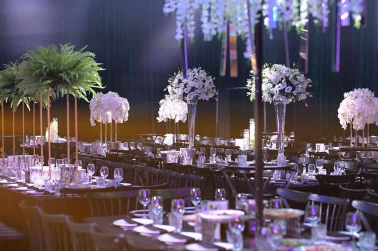 צילום: מיקי סוויסה