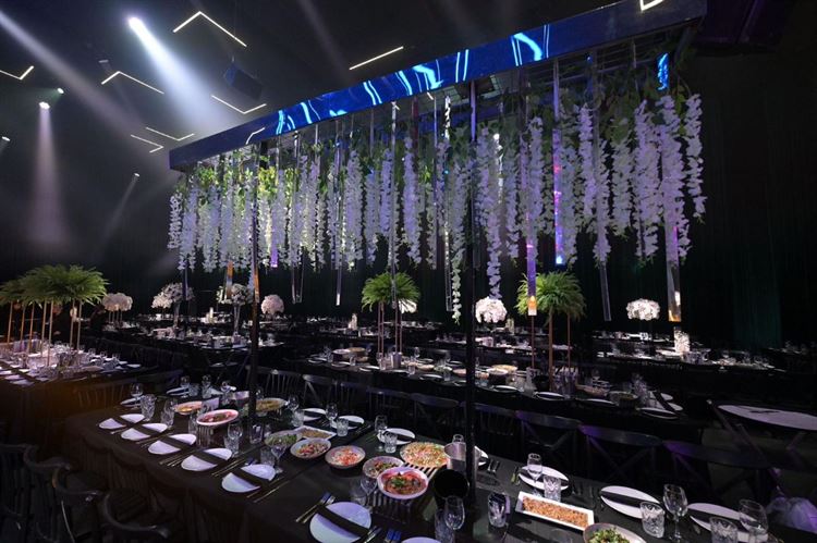 צילום: מיקי סוויסה